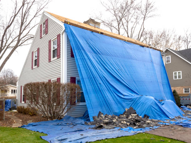 Best Historical Building Siding Restoration  in Black Mountain, NC